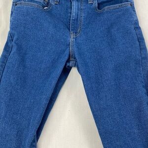 Stylish Levi’s Blue Men's Straight Jeans